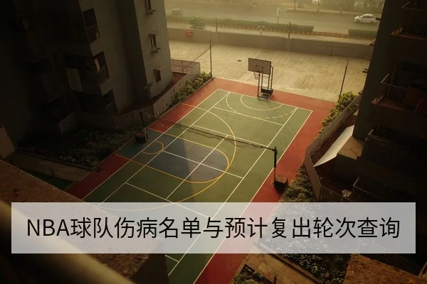 NBA球队伤病名单与预计复出轮次查询